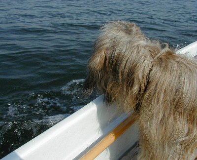 Cassola auf der Bootsfahrt