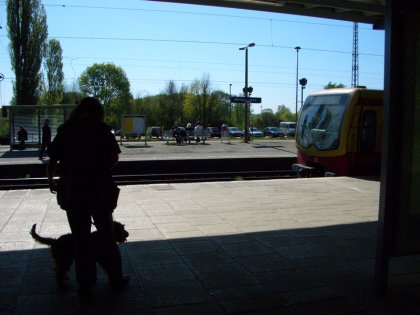 CIMG3383 S-Bahn fährt ein