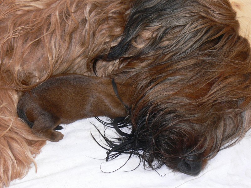 Der beste Platz f�r Schwarz