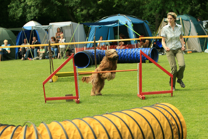 IMG_8428 tiff