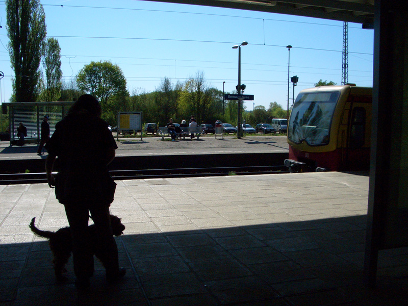 CIMG3383 S-Bahn f�hrt ein
