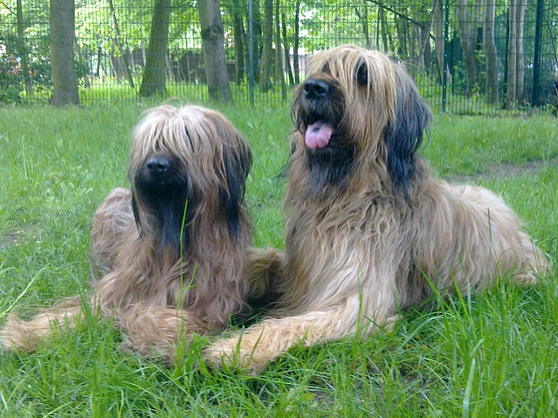 Anna Karenina und Herr Bootsmann