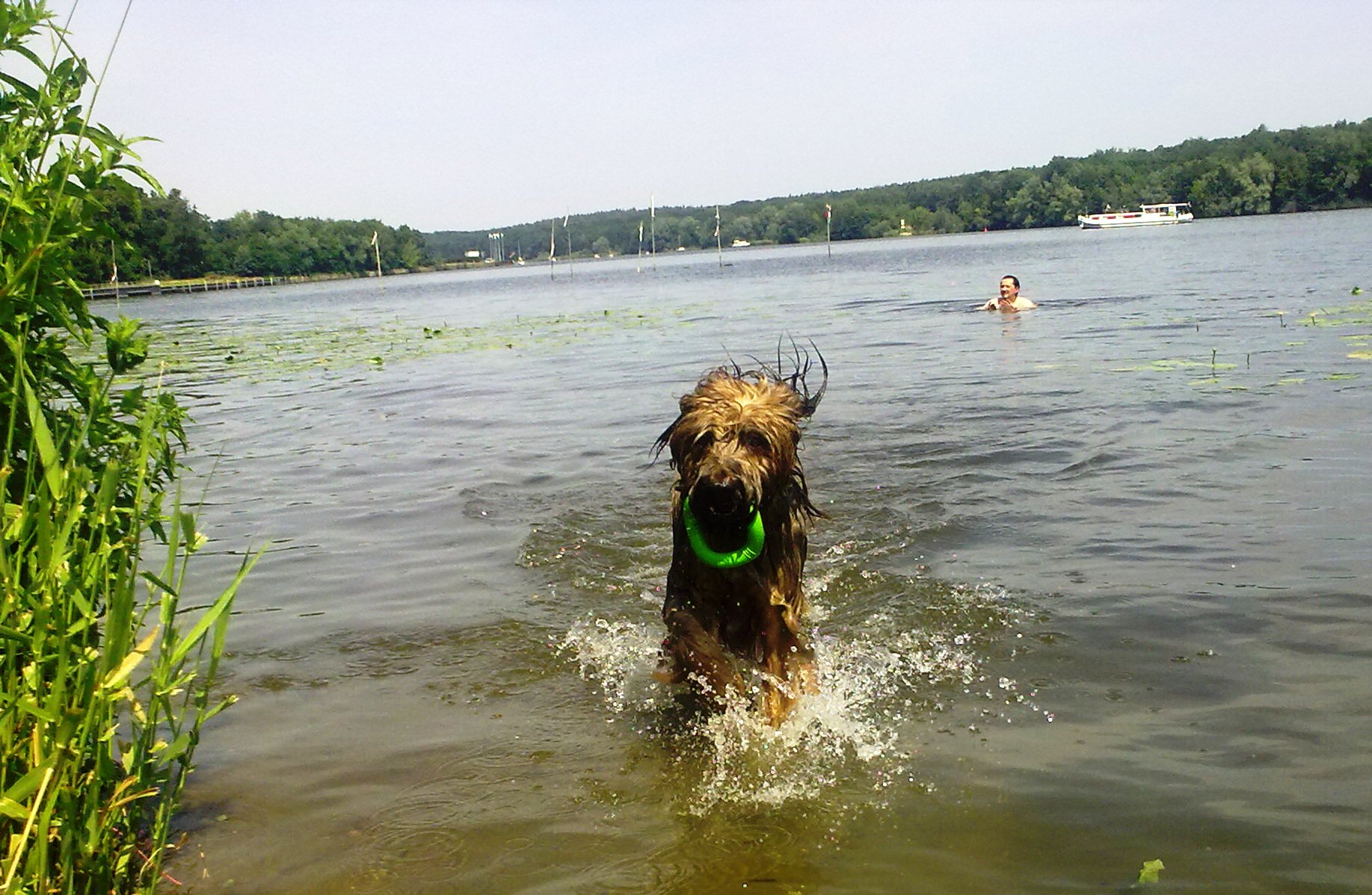 Schwimmen mit Herrchen