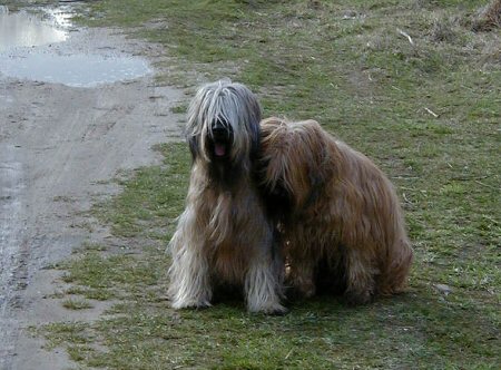 Cassola und Aimee