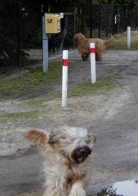 Cassola und Aimee