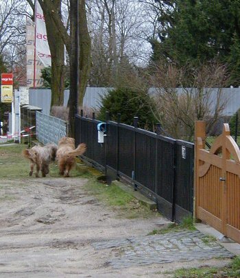 Cassola und Aimee