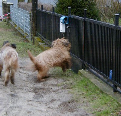 Cassola und Aimee