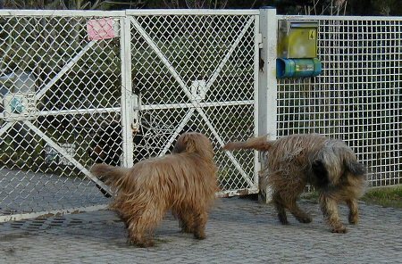 Cassola und Aimee