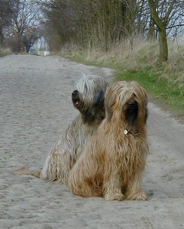 Cassola und Aimee