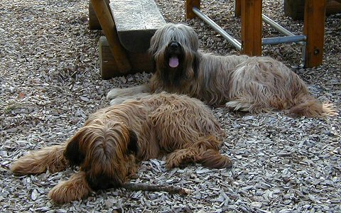 Cassola und Lilith