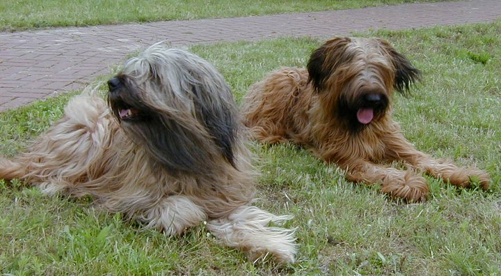 Cassola und Lilith