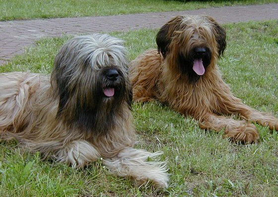Cassola und Lilith
