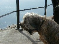 Cassola im Elbsandsteingebirge