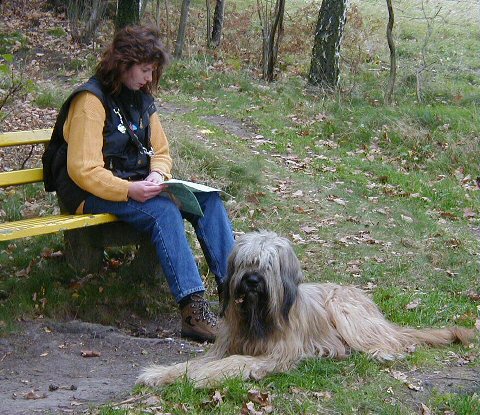 Cassola im Elbsandsteingebirge