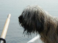 Cassola im Boot