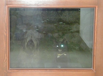 Cassola und Katze