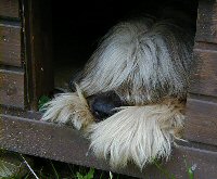 Cassola in ihrer Huette