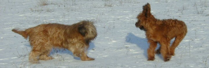 Cassola und Lilith