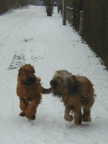 Cassola und Lilith