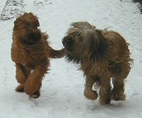 Cassola und Lilith