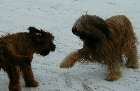 Cassola und Lilith