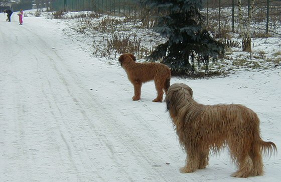 Cassola und Lilith