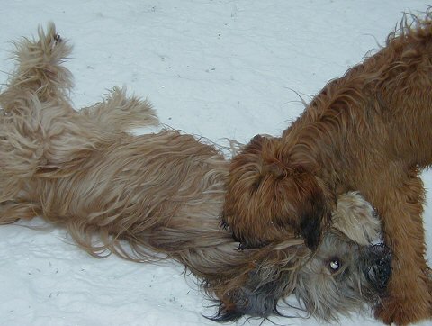 Cassola und Lilith