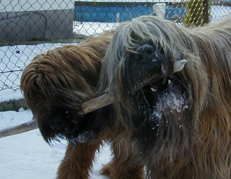 Cassola und Lilith