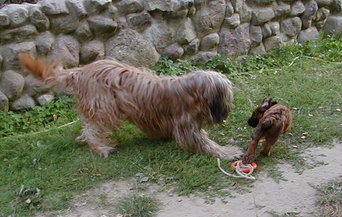 Cassola und Lilith