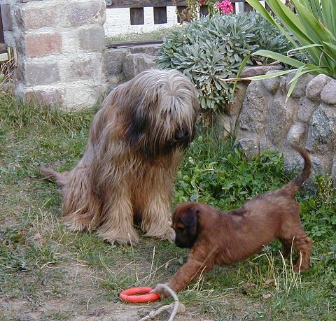 Cassola und Lilith