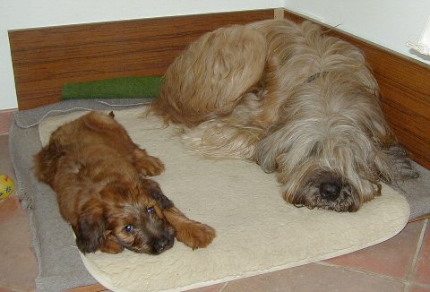 Cassola und Lilith