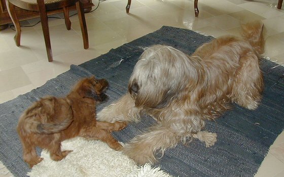 Cassola und Lilith