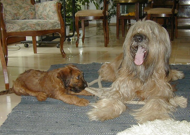 Cassola und Lilith