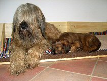 Cassola und Lilith