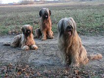 Cassola und Lilith