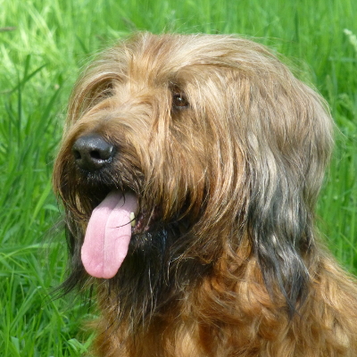 Clarissa L. aus dem Barnimer Land