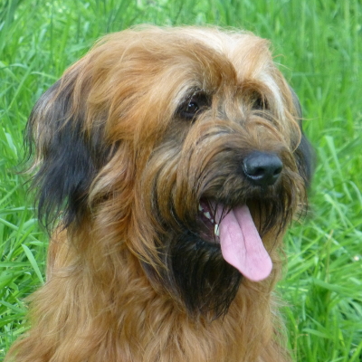 Garbo aus dem Barnimer Land