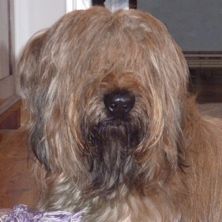 Herzogin aus dem Barnimer Land