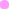 flieder