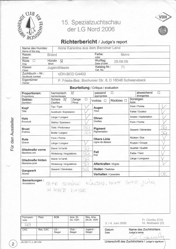 Bericht