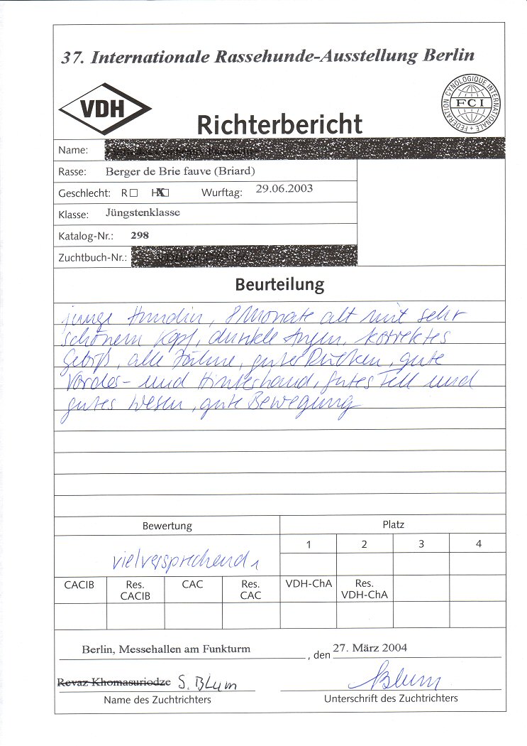 Bericht