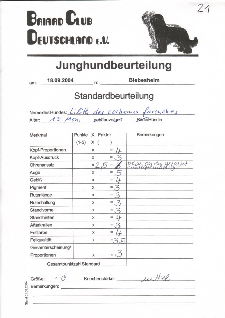 Bericht