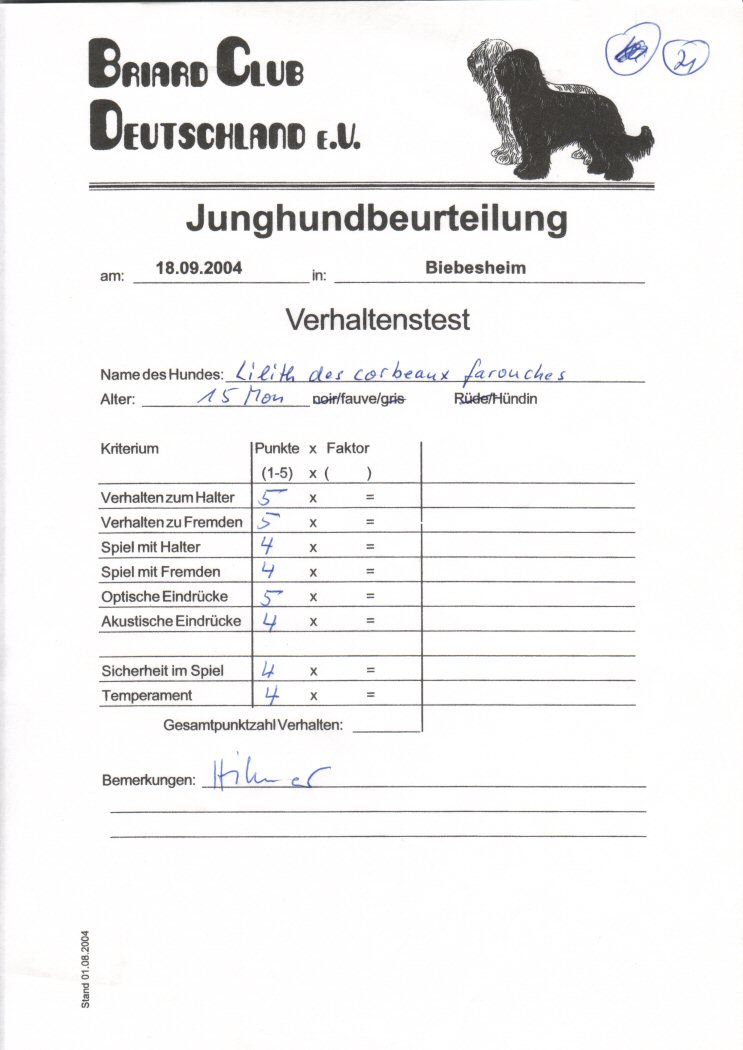 Bericht