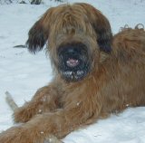Lilith im Schnee