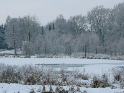 P1010733