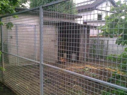 25062010040 Kopie