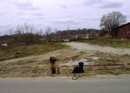 Mit Dudy am Straßenrand