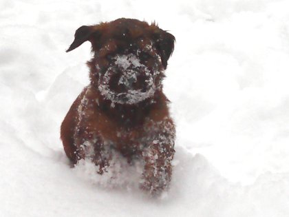 20121213103329 Kopie