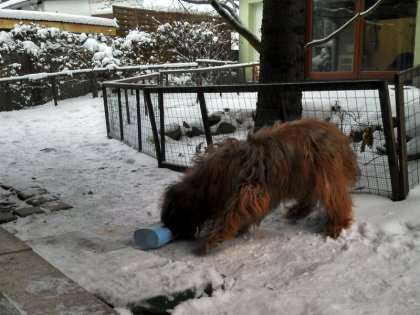 20121213105116 Kopie