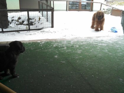 20121213105230 Kopie
